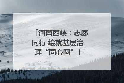 河南西峡：志愿同行 绘就基层治理“同心圆”