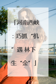 河南西峡：巧抓“机”遇 林下生“金”
