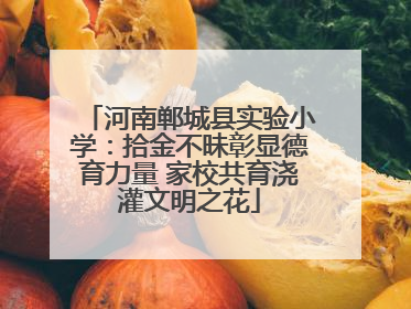 河南郸城县实验小学：拾金不昧彰显德育力量 家校共育浇灌文明之花