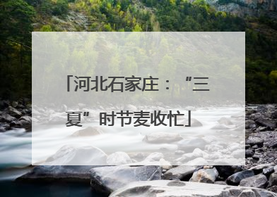河北石家庄：“三夏”时节麦收忙