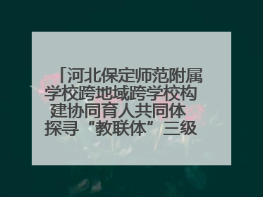 河北保定师范附属学校跨地域跨学校构建协同育人共同体 探寻“教联体”三级进阶之路