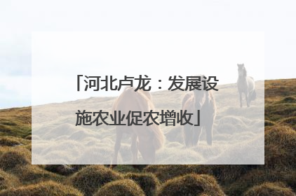 河北卢龙：发展设施农业促农增收