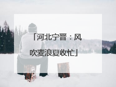河北宁晋：风吹麦浪夏收忙