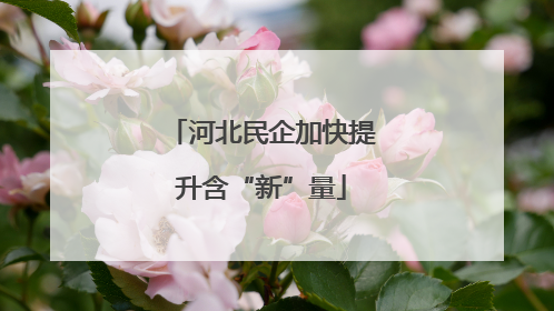 河北民企加快提升含“新”量