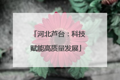 河北芦台：科技赋能高质量发展