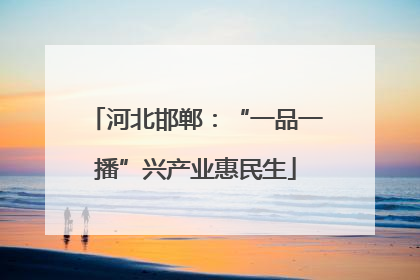 河北邯郸：“一品一播”兴产业惠民生