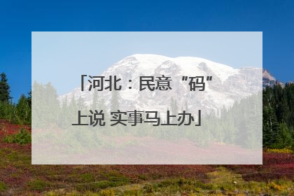 河北：民意“码”上说 实事马上办