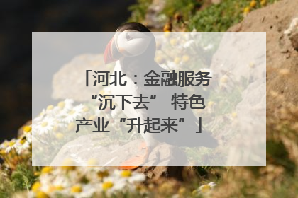 河北：金融服务“沉下去” 特色产业“升起来”