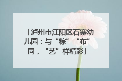 泸州市江阳区石寨幼儿园：与“粽”“布”同，“艺”样精彩