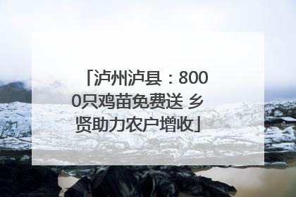 泸州泸县：8000只鸡苗免费送 乡贤助力农户增收