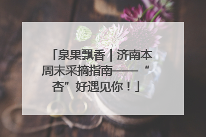 泉果飘香｜济南本周末采摘指南——“杏”好遇见你！