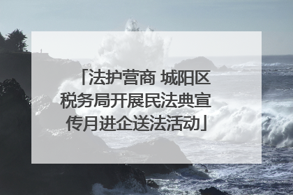 法护营商 城阳区税务局开展民法典宣传月进企送法活动