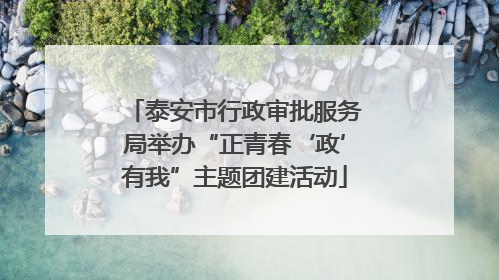 泰安市行政审批服务局举办“正青春‘政’有我”主题团建活动