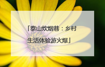 泰山炊烟巷：乡村生活体验游火爆