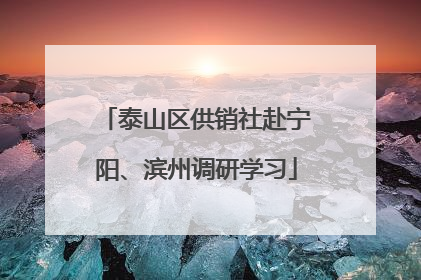 泰山区供销社赴宁阳、滨州调研学习
