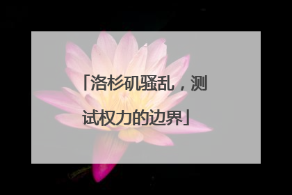 洛杉矶骚乱，测试权力的边界