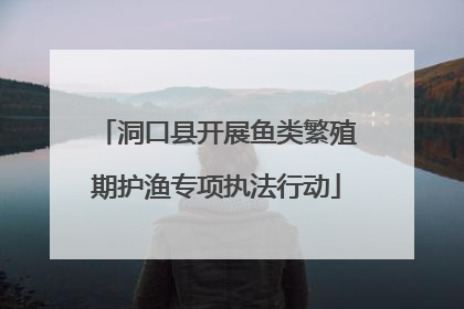 洞口县开展鱼类繁殖期护渔专项执法行动