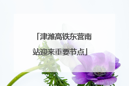 津潍高铁东营南站迎来重要节点