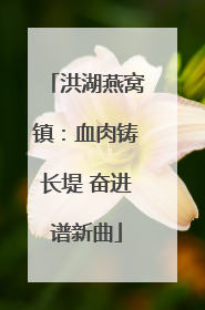 洪湖燕窝镇：血肉铸长堤 奋进谱新曲