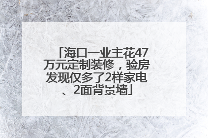 海口一业主花47万元定制装修，验房发现仅多了2样家电、2面背景墙