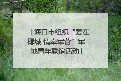 海口市组织“爱在椰城 情牵军营”军地青年联谊活动