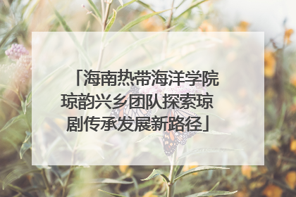 海南热带海洋学院琼韵兴乡团队探索琼剧传承发展新路径