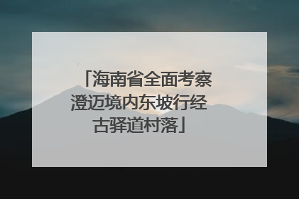海南省全面考察澄迈境内东坡行经古驿道村落