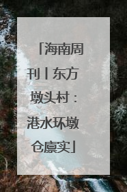 海南周刊丨东方墩头村：港水环墩仓廪实