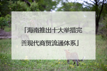 海南推出十大举措完善现代商贸流通体系