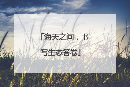 海天之间，书写生态答卷