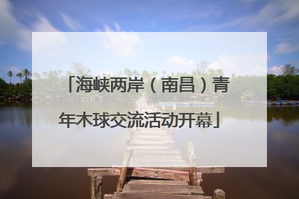 海峡两岸（南昌）青年木球交流活动开幕