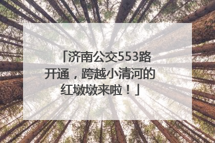 济南公交553路开通，跨越小清河的红墩墩来啦！