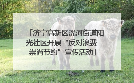 济宁高新区洸河街道阳光社区开展“反对浪费 崇尚节约”宣传活动