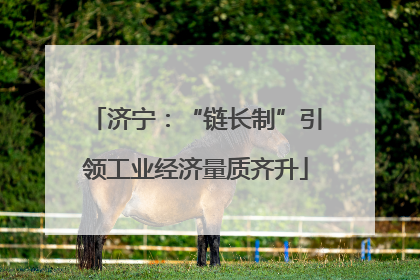 济宁：“链长制”引领工业经济量质齐升