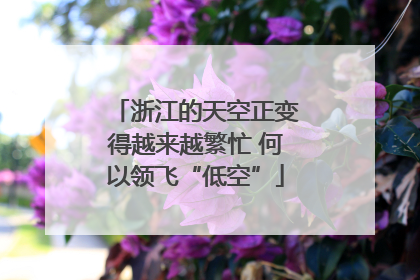 浙江的天空正变得越来越繁忙 何以领飞“低空”