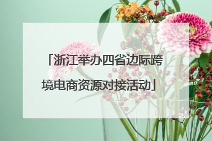 浙江举办四省边际跨境电商资源对接活动