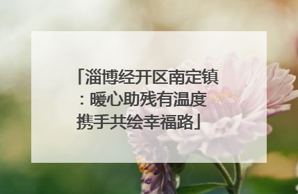 淄博经开区南定镇：暖心助残有温度 携手共绘幸福路