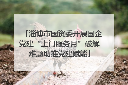淄博市国资委开展国企党建“上门服务月”破解难题助推党建赋能