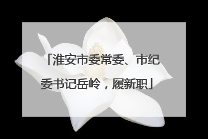 淮安市委常委、市纪委书记岳岭，履新职