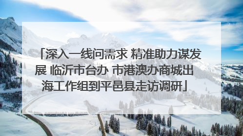 深入一线问需求 精准助力谋发展 临沂市台办 市港澳办商城出海工作组到平邑县走访调研