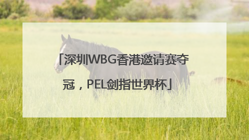 深圳WBG香港邀请赛夺冠，PEL剑指世界杯