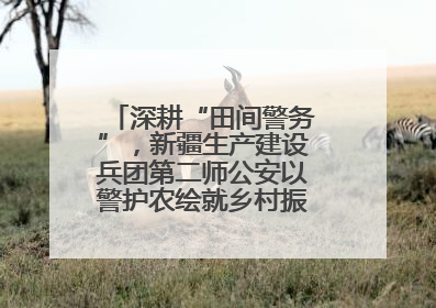 深耕“田间警务”，新疆生产建设兵团第二师公安以警护农绘就乡村振兴平安画卷
