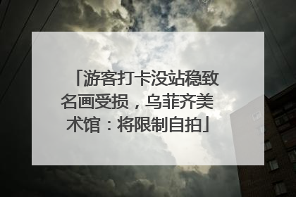 游客打卡没站稳致名画受损，乌菲齐美术馆：将限制自拍