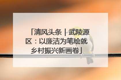 清风头条｜武陵源区：以廉洁为笔绘就乡村振兴新画卷