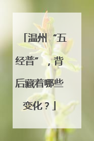 温州“五经普”，背后藏着哪些变化？