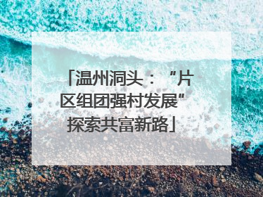温州洞头：“片区组团强村发展”探索共富新路