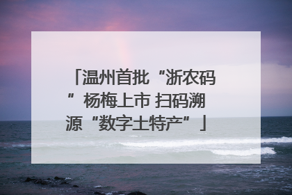 温州首批“浙农码”杨梅上市 扫码溯源“数字土特产”