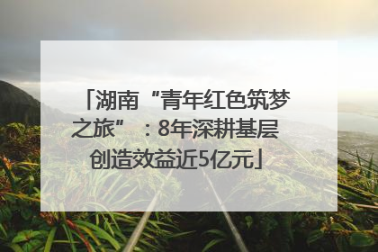 湖南“青年红色筑梦之旅”：8年深耕基层创造效益近5亿元