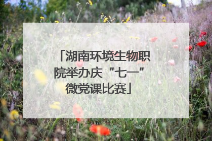 湖南环境生物职院举办庆“七一”微党课比赛