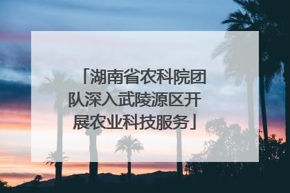 湖南省农科院团队深入武陵源区开展农业科技服务